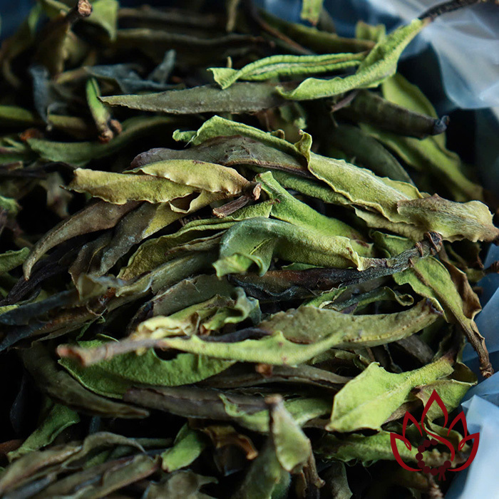 Bạch Trà Cổ Thụ Hoang Dã Vân Nam | 100 gram